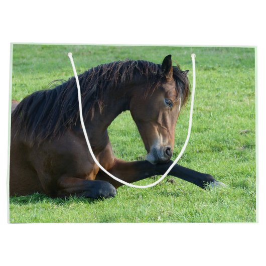 草かわいらしの中に産む茶色の馬誕生日 ラージペーパーバッグ (裏面)