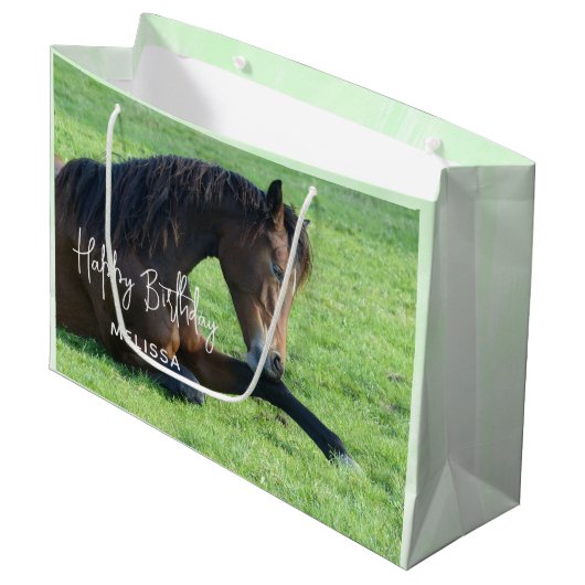 草かわいらしの中に産む茶色の馬誕生日 ラージペーパーバッグ (正面アングル)