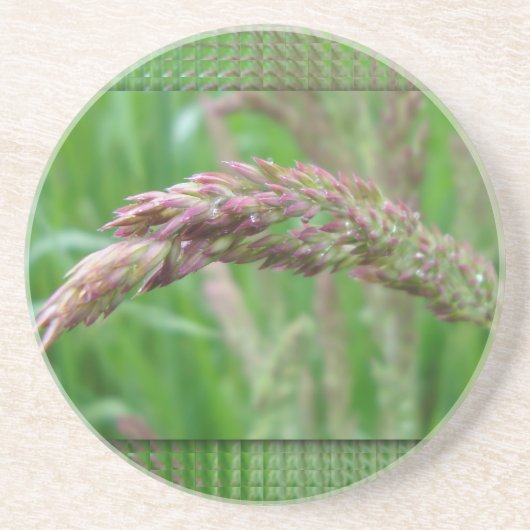 草がコースターを育てる コースター (正面)