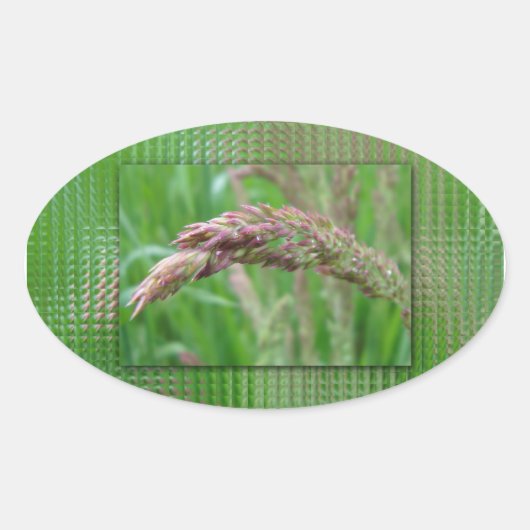 草がステッカーを伸ばす 楕円形シール (正面)