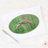 草がステッカーを伸ばす 楕円形シール (封筒)