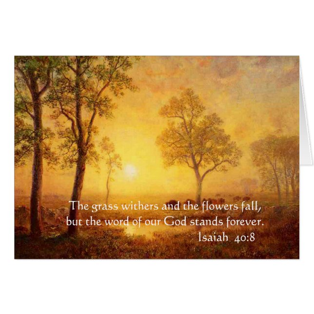 草が枯れて….. (正面横)