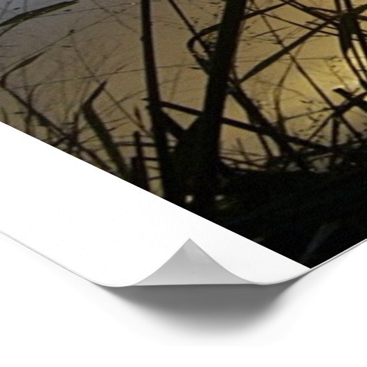 草が枯れる ポスター (角)