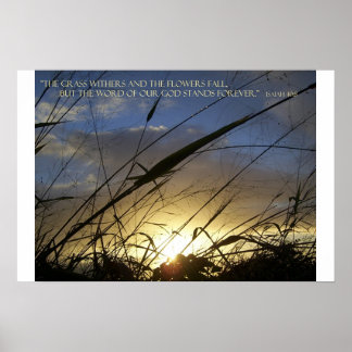 草が枯れる ポスター