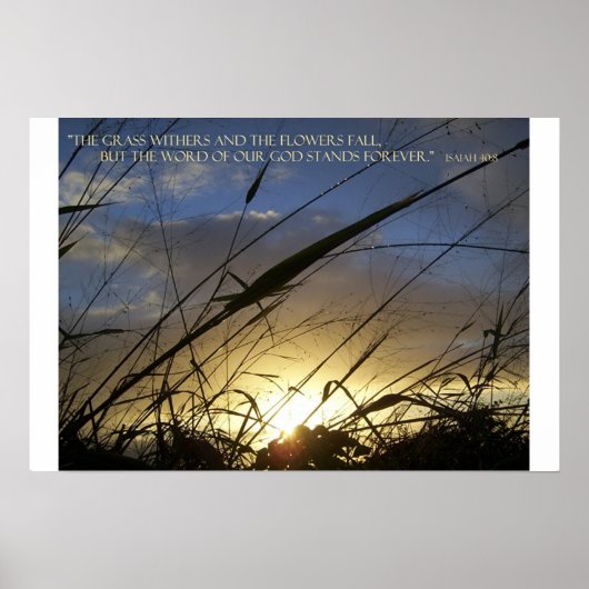 草が枯れる ポスター (正面)