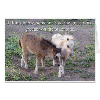 草が生えている