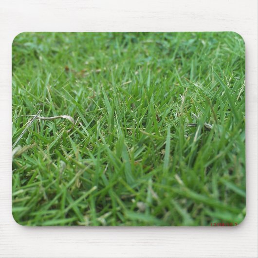 草が茂ったマウスパッド マウスパッド (正面)