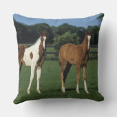 草が茂った分野に立っているアラビア人の子馬 クッション (裏面)