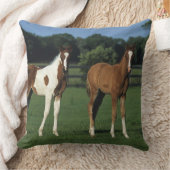 草が茂った分野に立っているアラビア人の子馬 クッション (ブランケット)