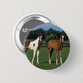 草が茂った分野に立っているアラビア人の子馬 缶バッジ (正面&裏面)