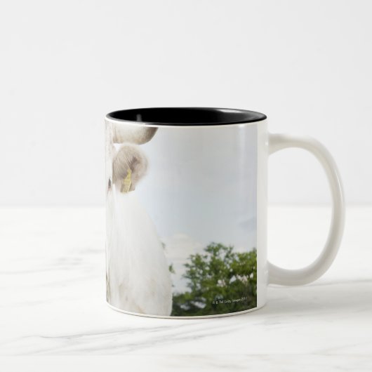 草が茂った分野に立っている牛 ツートーンマグカップ (右)