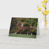 草が茂った分野のアラビアの馬のランニング カード (黄色い花)