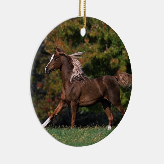 草が茂った分野のアラビアの馬のランニング セラミックオーナメント (右)