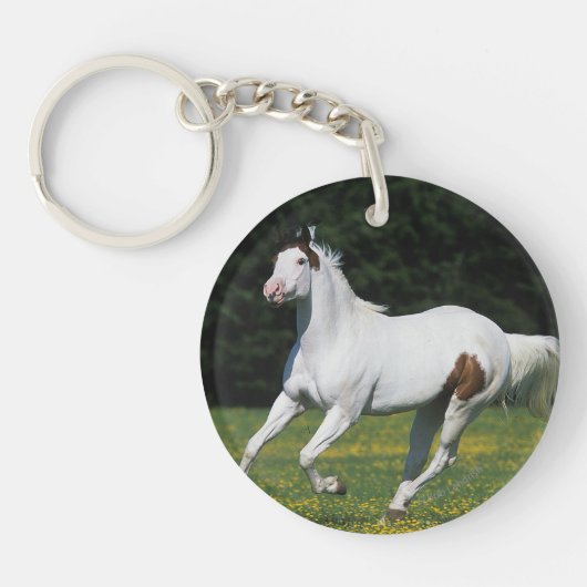 草が茂った分野のペンキの馬のランニング キーホルダー (正面)
