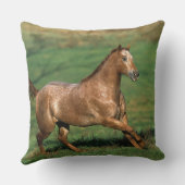 草が茂った分野のAppaloosaの馬のランニング クッション (裏面)