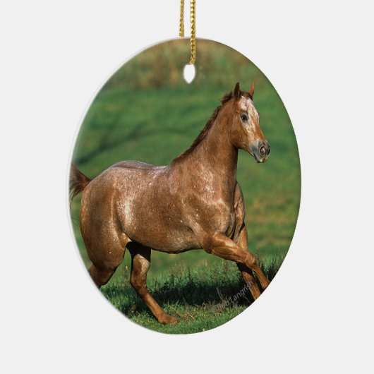 草が茂った分野のAppaloosaの馬のランニング セラミックオーナメント (右)