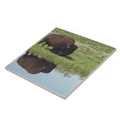 草が茂った草原のバイソン(バイソンのバイソン) タイル (側面)