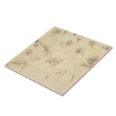 草そっくりの植物(Briza Mの花の勉強 タイル (側面)