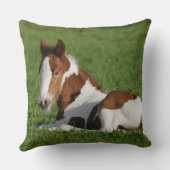 草で置いている子馬 クッション (裏面)