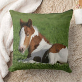 草で置いている子馬 クッション (ブランケット)