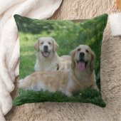 草で置いている2匹のゴールデン・リトリーバー クッション (ブランケット)