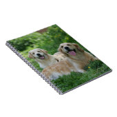 草で置いている2匹のゴールデン・リトリーバー ノートブック (右側)