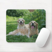 草で置いている2匹のゴールデン・リトリーバー マウスパッド (マウス)