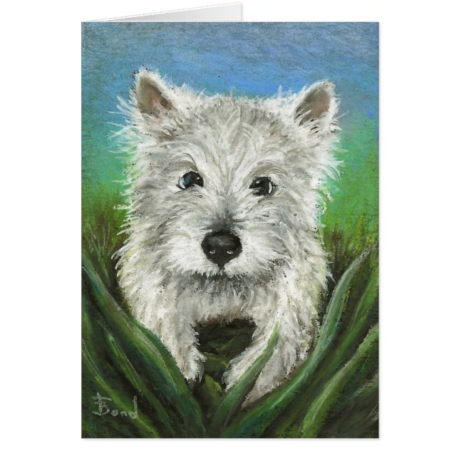 草で遊ぶ少しWestie (正面)