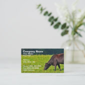 草で食べ物を与えているブラウン牛 名刺 (スタンド正面)