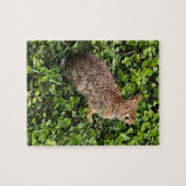 草とクローバーの野生のウサギ、パズル ジグソーパズル (横)