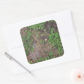 草と土のパッチ スクエアシール (封筒)