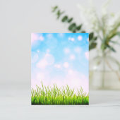 草と空 (スタンド正面)