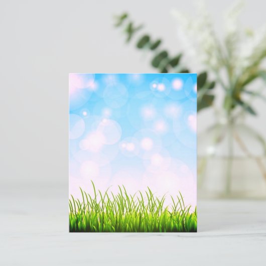 草と空 (スタンド正面)