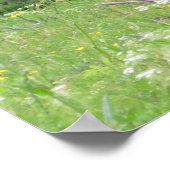 草と花の絵を描白と黒のポニー ポスター (角)