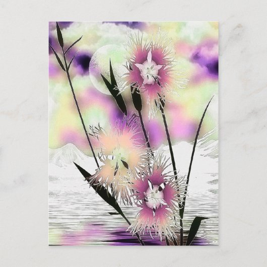 草と霧の自然アート ポストカード (正面)