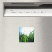 草と青の空 マグネット (インサイチュ (食洗機))