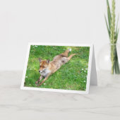 草に横たわる狐 カード (正面)