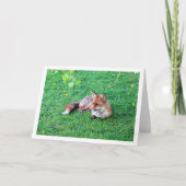 草に横たわる狐 カード (正面)