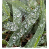 草に水が垂れる シャワーカーテン (正面)