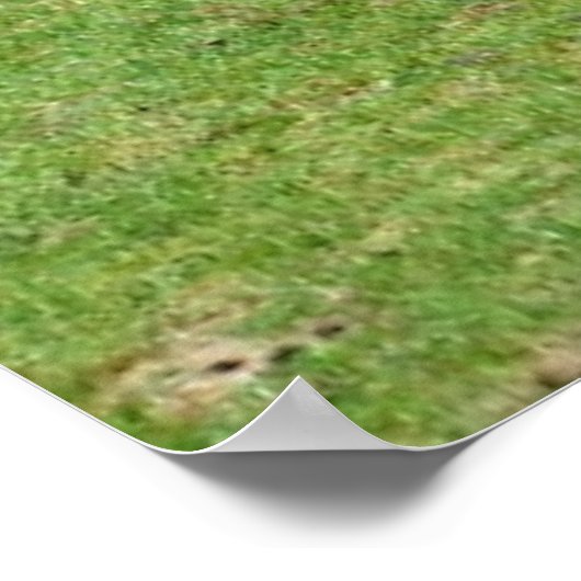 草に白いサイが二本 ポスター (角)