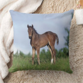 草に立っている純血種の子馬 クッション (ブランケット)