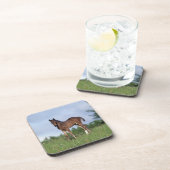 草に立っている純血種の子馬 コースター (右側)