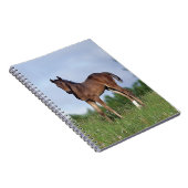 草に立っている純血種の子馬 ノートブック (右側)