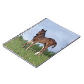 草に立っている純血種の子馬 ノートブック (左側)
