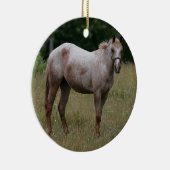 草に立っているAppaloosaの馬 セラミックオーナメント (右)