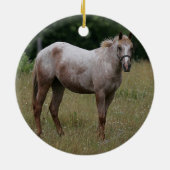 草に立っているAppaloosaの馬 セラミックオーナメント (裏面)