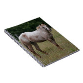 草に立っているAppaloosaの馬 ノートブック (右側)