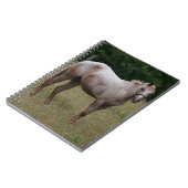 草に立っているAppaloosaの馬 ノートブック (左側)