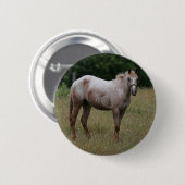 草に立っているAppaloosaの馬 缶バッジ (正面&裏面)