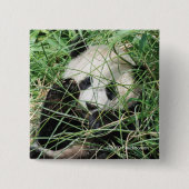 草に隠れているジャイアントパンダ 缶バッジ (正面)